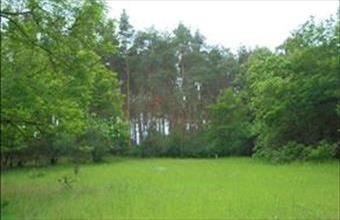 Eladó Debreceni egyéb mezőgazdasági ingatlan hirdetés (96238423)