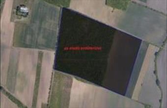 Eladó Debreceni egyéb mezőgazdasági ingatlan hirdetés (44379374)