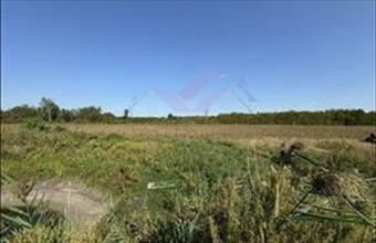 Eladó Debreceni tanya hirdetés (49432773)