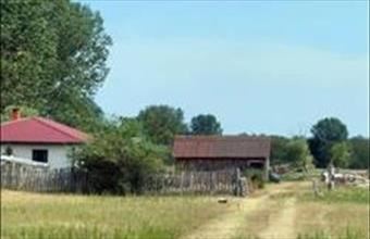 Eladó Debreceni tanya hirdetés (57641374)