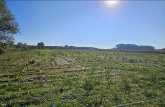 Eladó Debreceni egyéb mezőgazdasági ingatlan hirdetés (77372442)