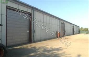 Kiadó Mezőörsi egyéb mezőgazdasági ingatlan hirdetés (75296469)