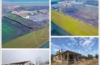 Eladó Eleki egyéb mezőgazdasági ingatlan hirdetés (77521824)