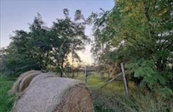 Eladó Gyulai egyéb mezőgazdasági ingatlan hirdetés (45536882)