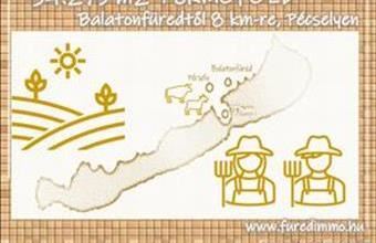 Eladó Pécselyi termőföld, szántó hirdetés (42359746)