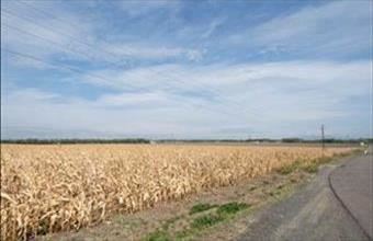 Eladó Horti fejlesztési lakóterület hirdetés (44957559)