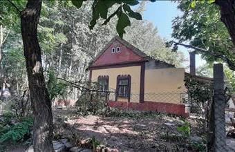 Eladó Csongrádi tanya hirdetés (24274375)