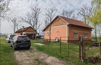 Eladó Tömörkényi tanya hirdetés (33249448)