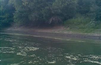 Eladó Csongrádi egyéb mezőgazdasági ingatlan hirdetés (33774488)