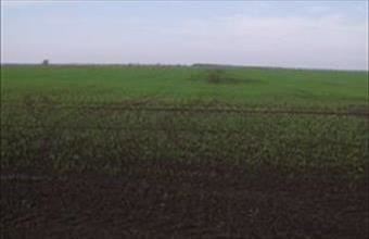 Eladó Miskolci egyéb mezőgazdasági ingatlan hirdetés (75793815)