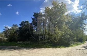 Eladó Győri egyéb mezőgazdasági ingatlan hirdetés (23782778)