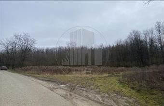 Eladó Győrújbaráti egyéb mezőgazdasági ingatlan hirdetés (39597339)