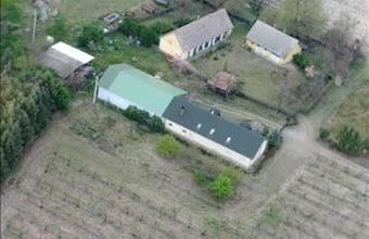 Eladó Tázlári tanya hirdetés (83254764)