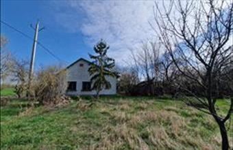 Eladó Szentesi tanya hirdetés (42793974)