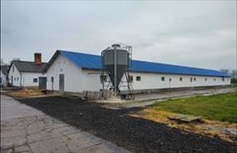 Eladó Rábacsécsényi egyéb mezőgazdasági ingatlan hirdetés (79935939)