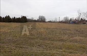 Eladó Szegedi termőföld, szántó hirdetés (37334843)