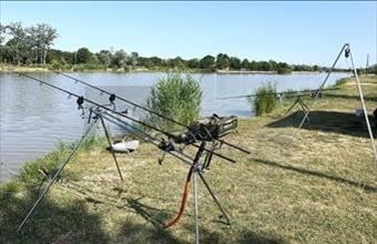 Eladó Szegedi egyéb mezőgazdasági ingatlan hirdetés (89736359)