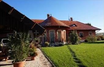 Eladó Kiskunfélegyházai tanya hirdetés (22473953)