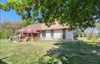 Eladó Balástyai tanya hirdetés (55452574)