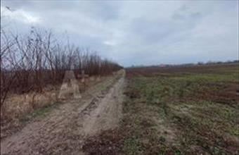 Eladó Balástyai egyéb mezőgazdasági ingatlan hirdetés (84712743)