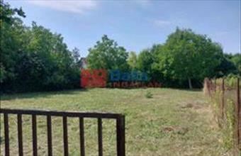 Eladó Dömsödi egyéb telek hirdetés (34444459)