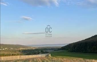 Eladó Dörgicsei egyéb mezőgazdasági ingatlan hirdetés (89423435)