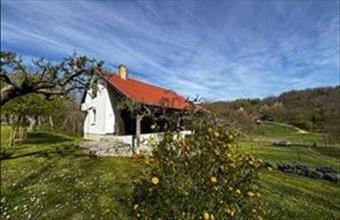 Eladó Zalaszentlászlói hétvégi ház hirdetés (39689752)