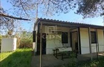 Eladó Balatonfűzfői hétvégi ház hirdetés (14459737)