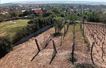 Eladó Pákozdi lakóövezeti telek hirdetés (47549345)