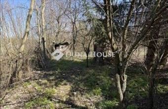 Eladó Tóalmási külterületi telek hirdetés (79329544)