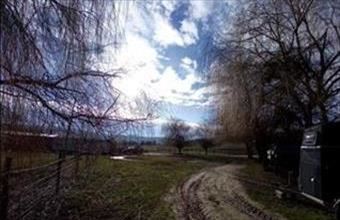 Eladó Biatorbágyi termőföld, szántó hirdetés (58873533)