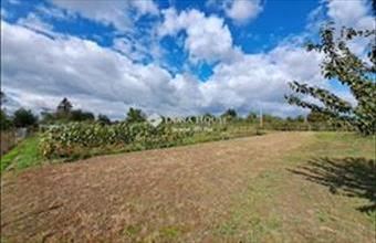 Eladó Százhalombattai egyéb telek hirdetés (44378143)