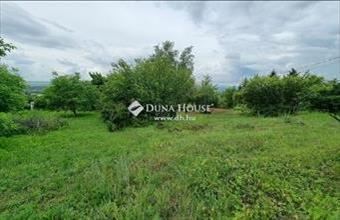 Eladó Töki külterületi telek hirdetés (29773574)