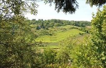 Eladó Ózdi külterületi telek hirdetés (35523454)