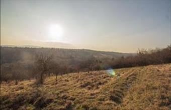 Eladó Miskolci egyéb mezőgazdasági ingatlan hirdetés (36333533)