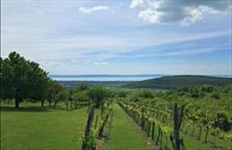 Eladó Mencshelyi lakóövezeti telek hirdetés (13724971)