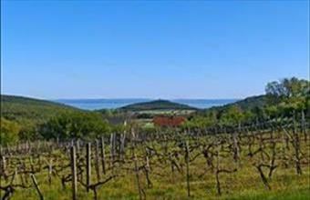 Eladó Felsőörsi hétvégi ház hirdetés (43639247)