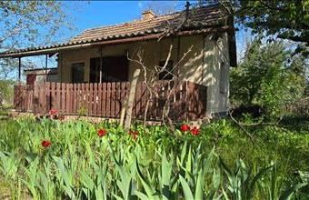 Eladó Szelevényi egyéb mezőgazdasági ingatlan hirdetés (42522397)