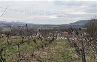 Eladó Lesencetomaji zártkert hirdetés (24843891)