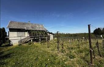 Eladó Beleznai zártkert hirdetés (36357258)