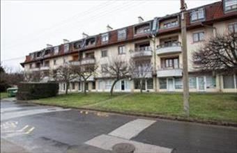 Kiadó Miskolci tégla lakás hirdetés (43333983)