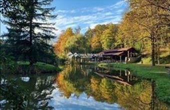 Eladó Komlói családi ház hirdetés (97349477)