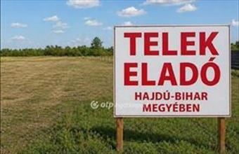 Eladó Magyarhomorogi lakóövezeti telek hirdetés (31155437)