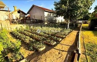 Eladó Vecsési családi ház hirdetés (33442946)