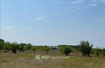 Eladó Fehérgyarmati lakóövezeti telek hirdetés (63457734)