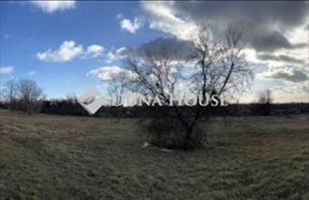 Eladó Budapest XVII. kerületi lakóövezeti telek hirdetés (43313776)