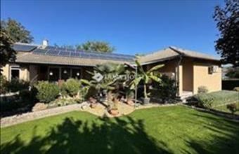 Eladó Nagyvenyimi családi ház hirdetés (37729773)