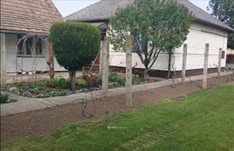 Eladó Nagyhegyesi családi ház hirdetés (47863333)