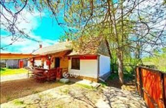 Eladó Lajosmizsei hétvégi ház hirdetés (28947926)