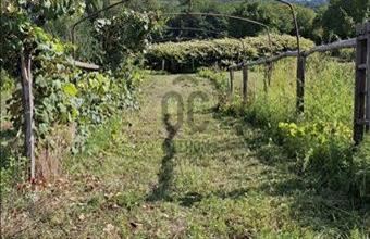 Eladó Várvölgyi egyéb mezőgazdasági ingatlan hirdetés (39523567)